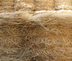 Rye Straw